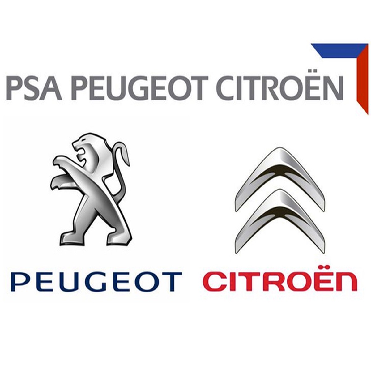 Peugeot/Citroen Badge - 42481258