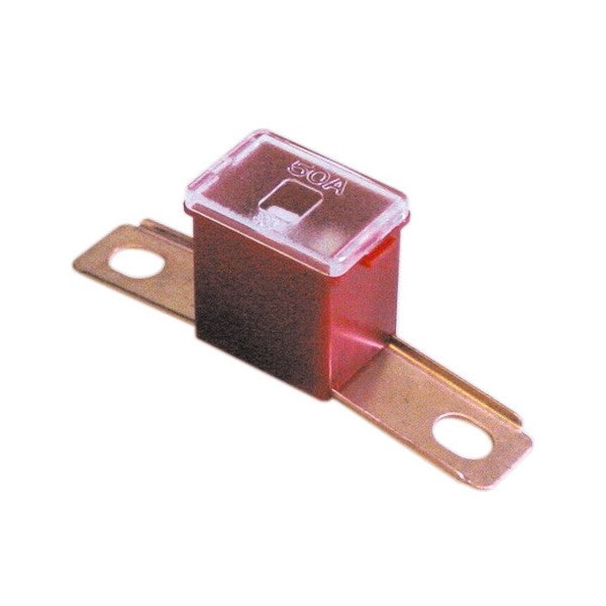 Wot-nots Fuse - Screw Fit Slow Blow - 100A - PWN664
