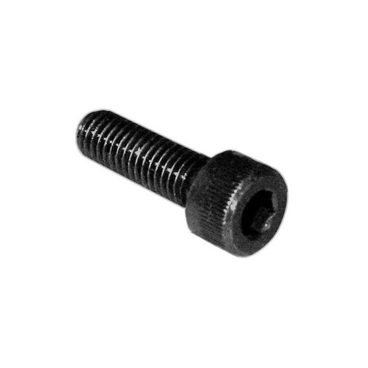Wot-nots Screw Socket Cap  - M6 x 20 - Pack of 5 - PWN554