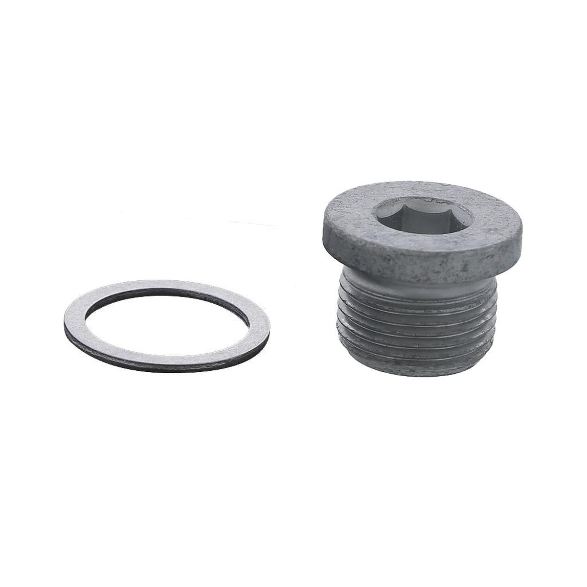 640148 | Detroit Diesel Drain Plug Kit, New