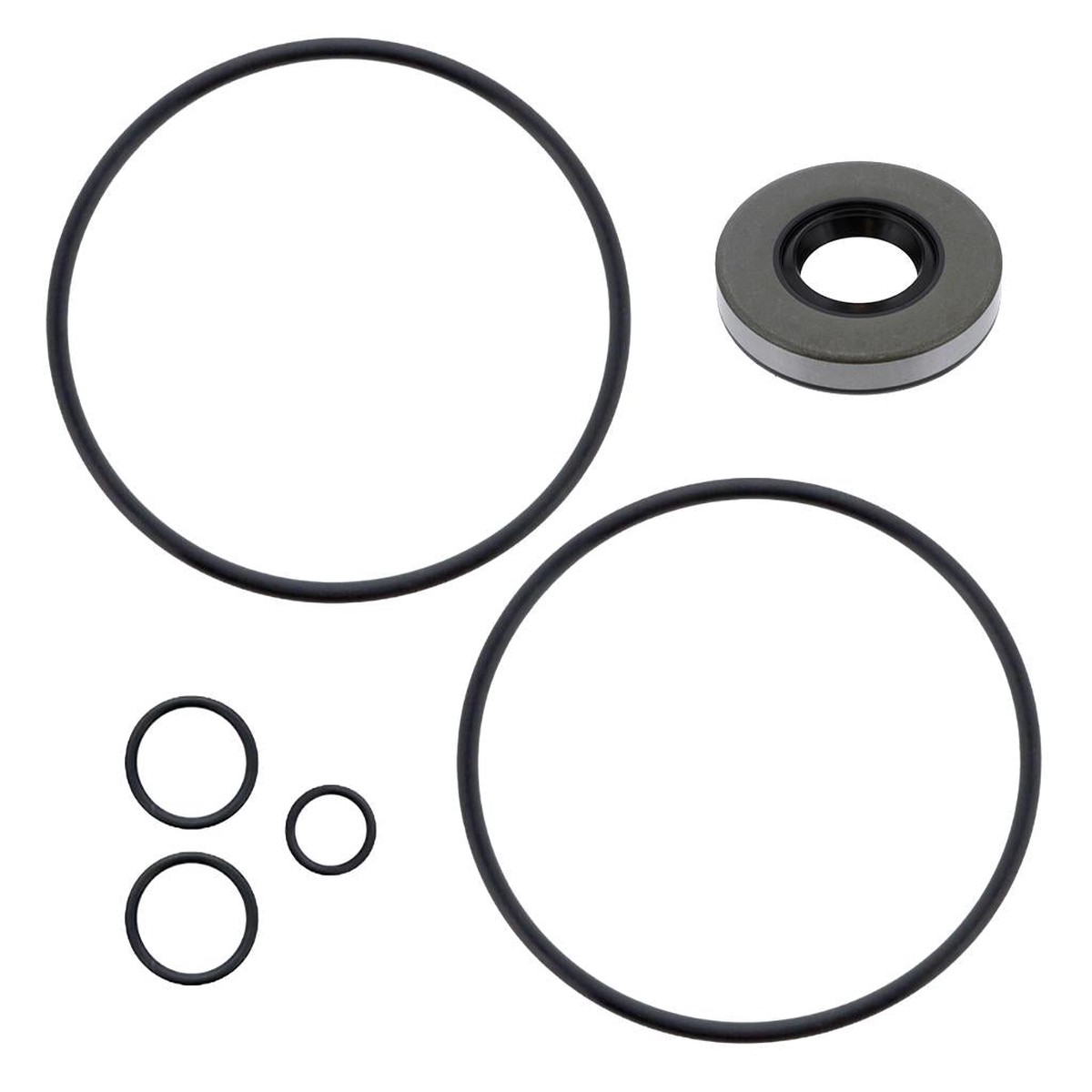 207SK26 | Mack Pump Kit, New