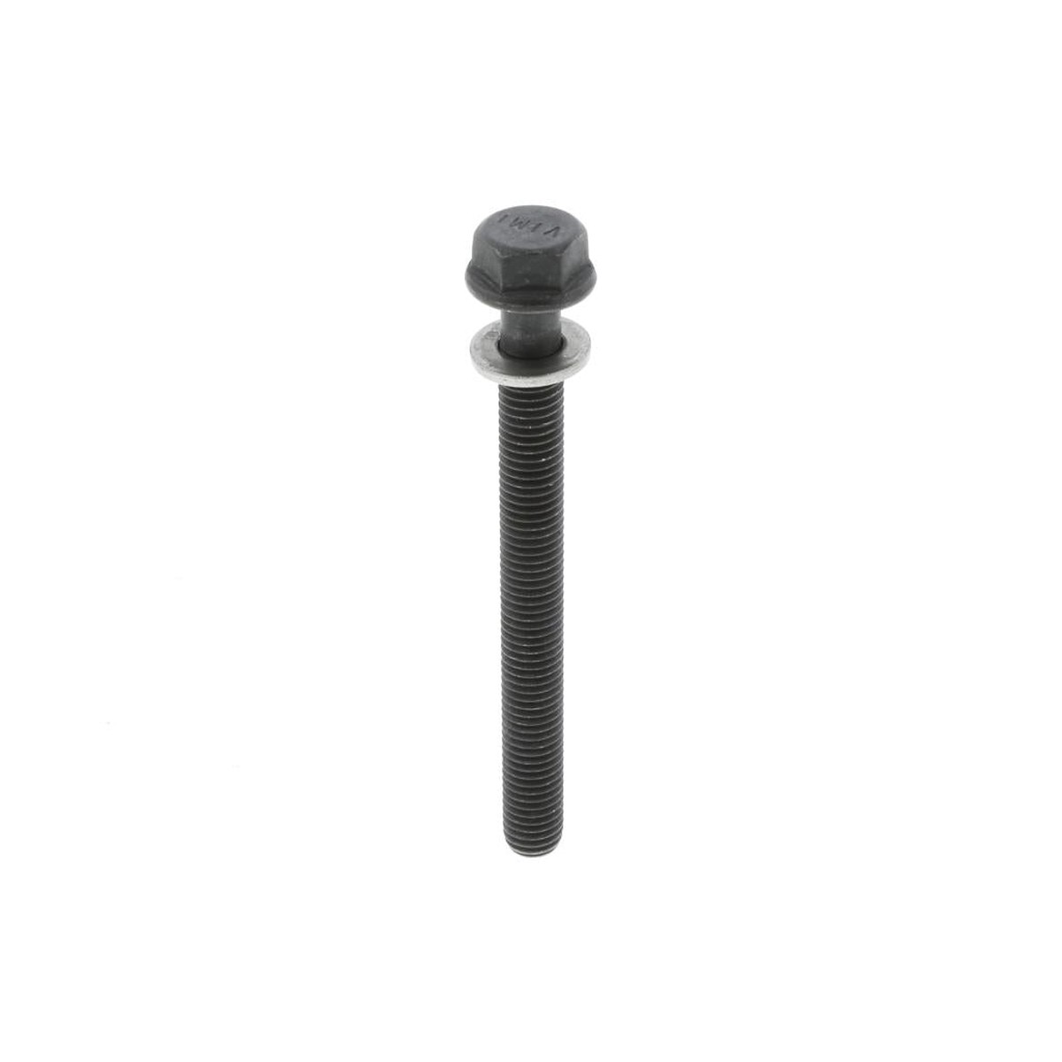 3103085 | Cummins Screw, New