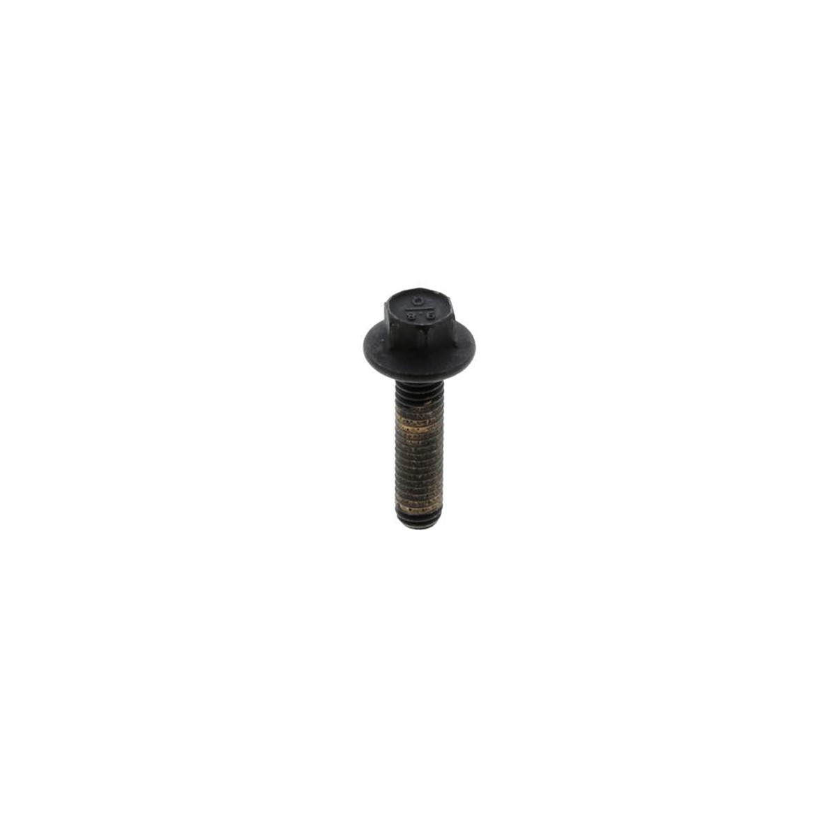 3936684 | Cummins Screw, New