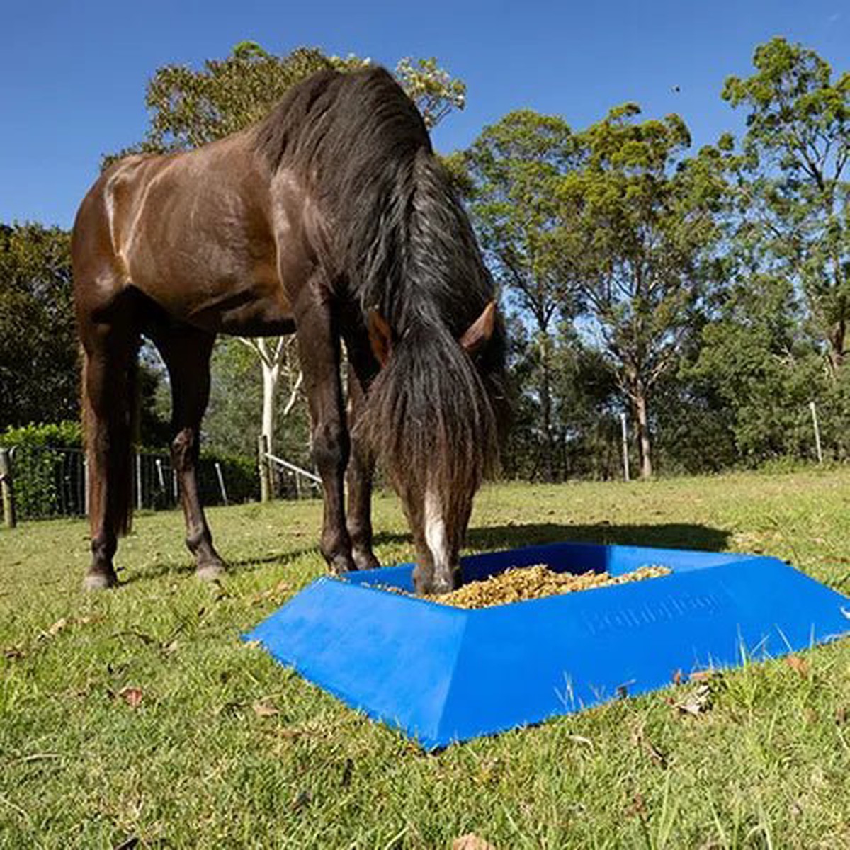 40L Anti-Tip Trough Horse Feeder