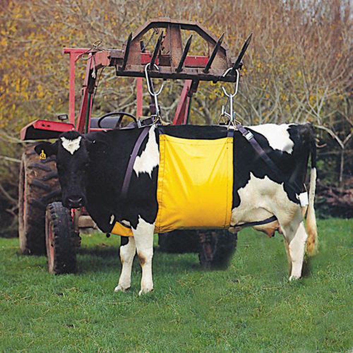 Supreme Cow Lifter Sling