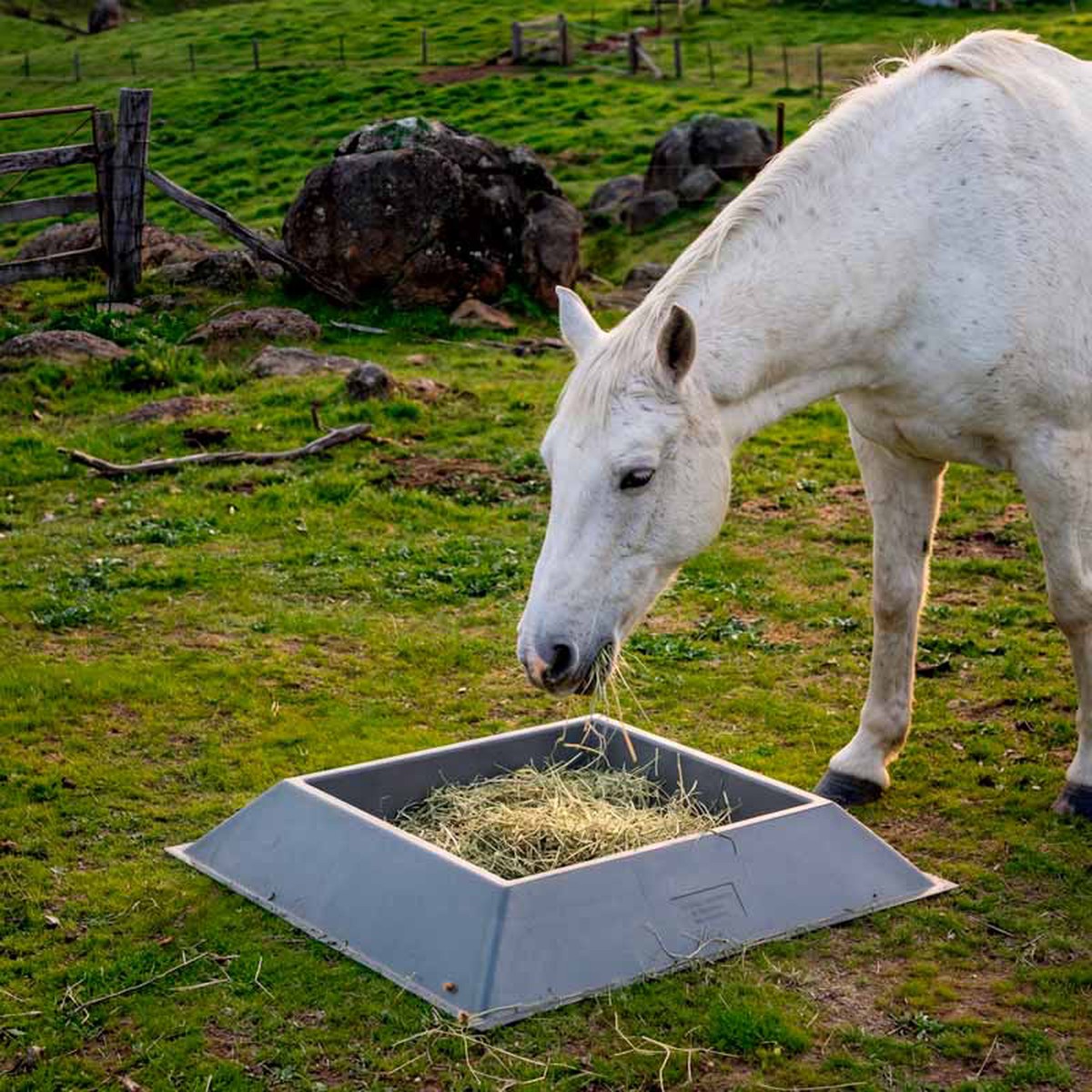 25L "Can't Tip" Trough - Horse Feeder