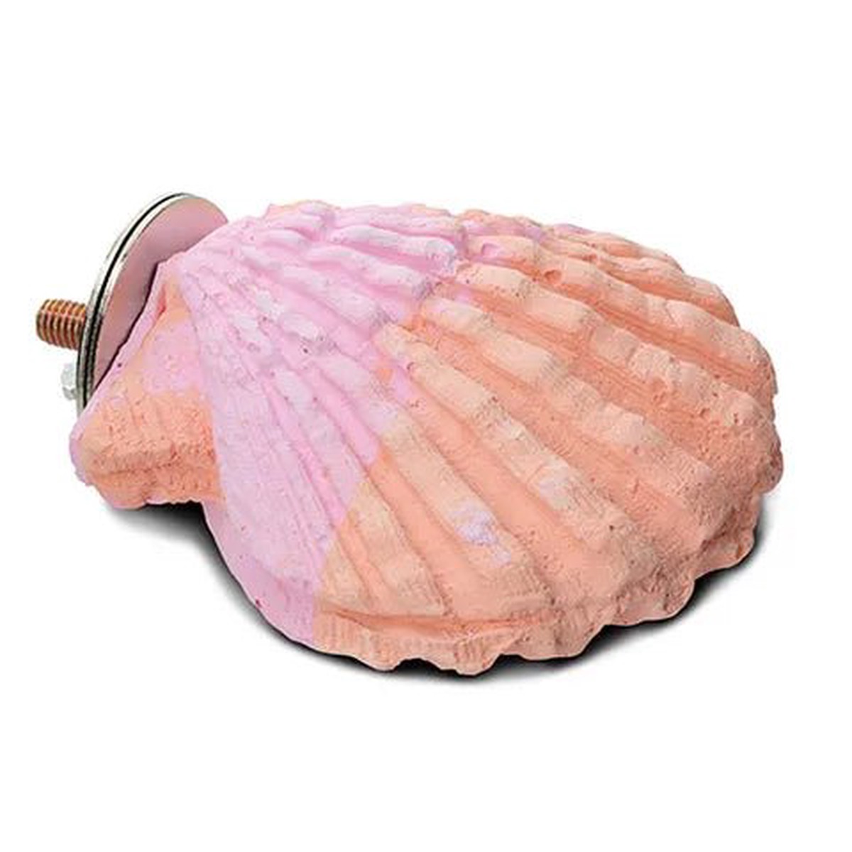 Bird Toy - Interactive - Calcium Clam Parrot Perch