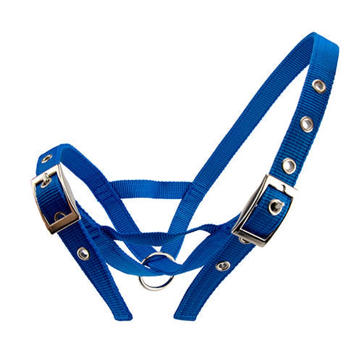 Webbed Cattle Halter - Bull