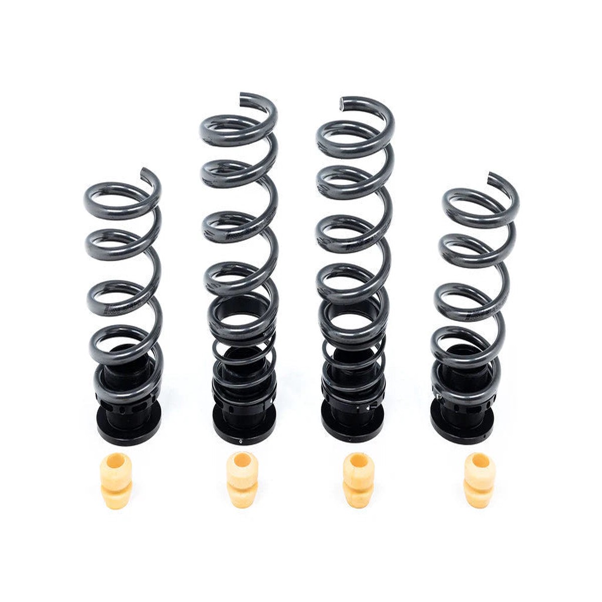 AST G05/G06 X5/X6 Adjustable Lowering Spring Kit