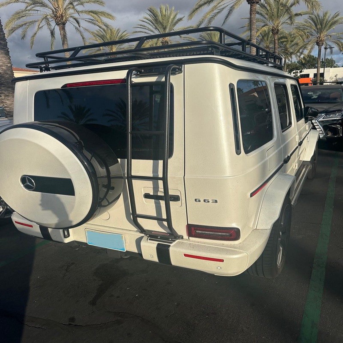 GOBI Mercedes G-Wagon Rear Ladder  Passenger Side