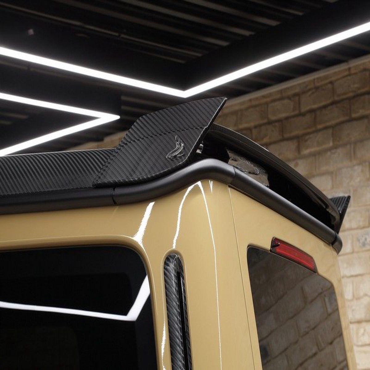 TopCar Roof Spoiler Shark Style for MY 2019-on W463A