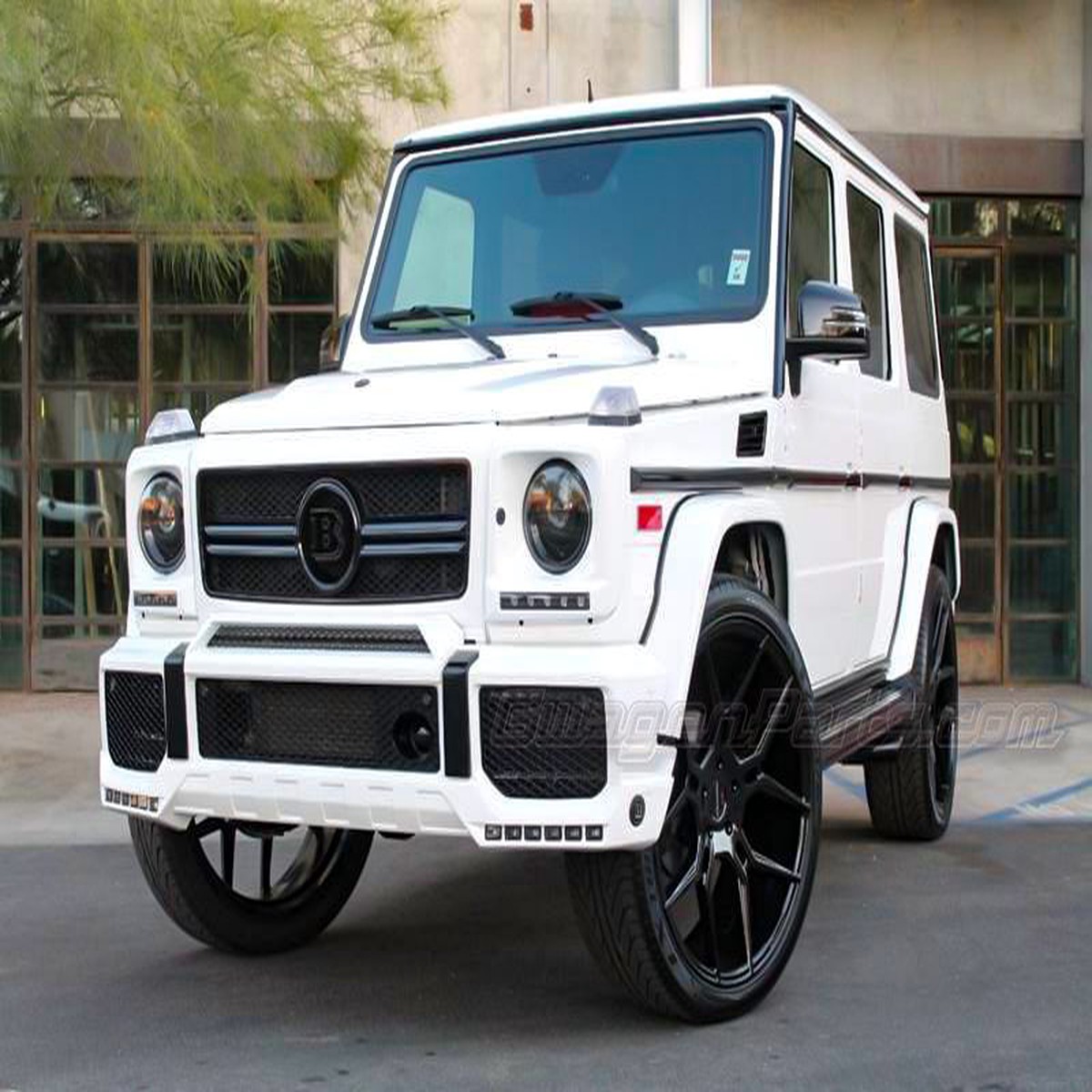 Giovanna Haleb Big Cap for Mercedes G500