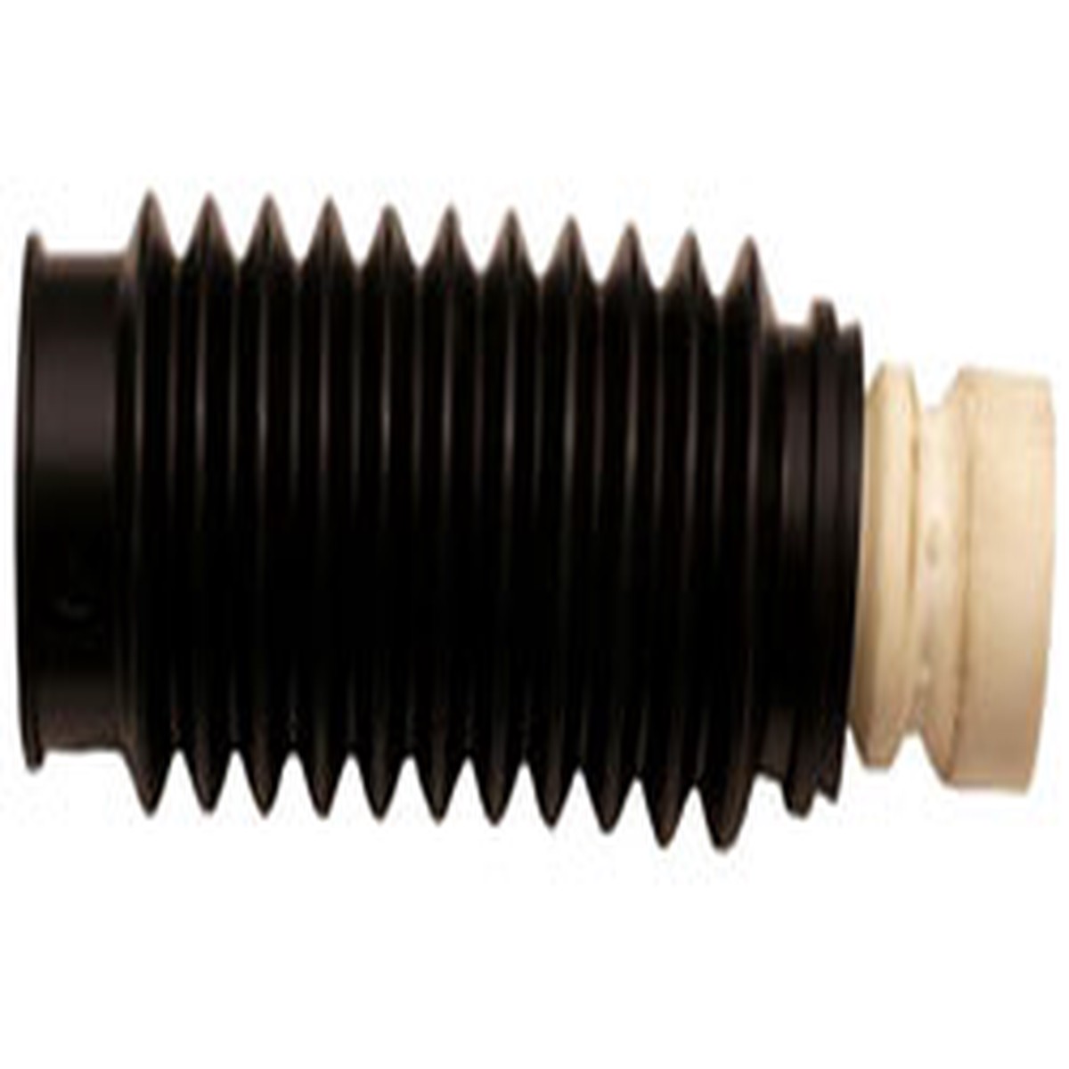 Front Strut Bellow and Cushion